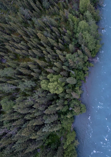 An areial photo of a forest next to a river